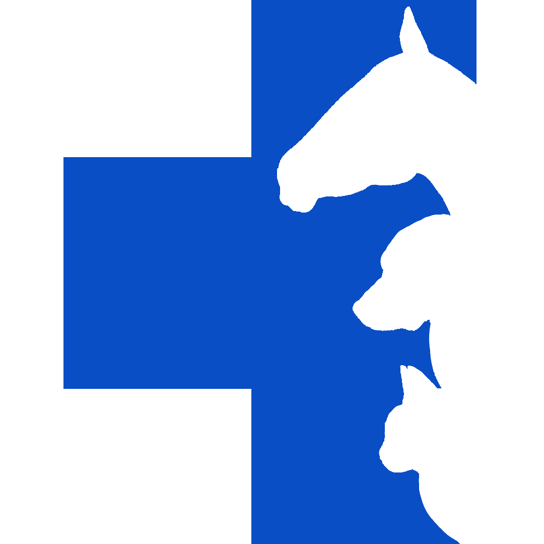 Shedden Veterinary Services